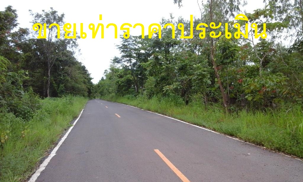 ขายที่ดิน 6-3-22 THB850,000 บ้านหินโงม สร้างคอม อุดร